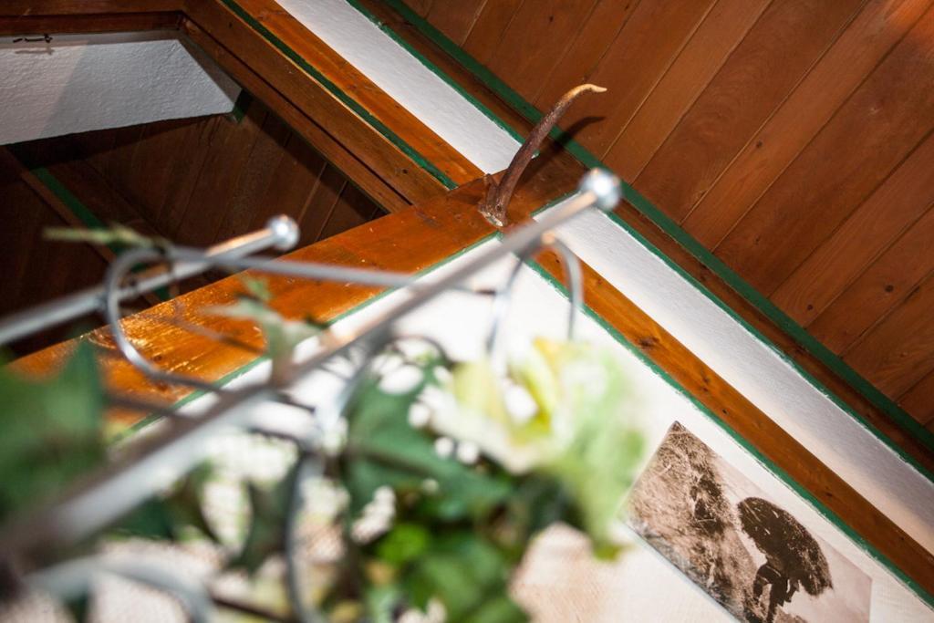 Chalet Appartement Alpenherz Saalbach-Hinterglemm Værelse billede